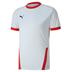 Puma Goal Short Sleeve Shirt *Last Year Of Supply*
