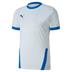 Puma Goal Short Sleeve Shirt *Last Year Of Supply*
