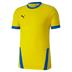 Puma Goal Short Sleeve Shirt *Last Year Of Supply*