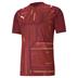 Puma Ultimate Short Sleeve Shirt *Last year of supply*