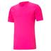 Puma Team Flash Short Sleeve Shirt *Last year of supply*