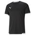 Puma Team Liga Short Sleeve Shirt