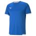 Puma Team Liga Short Sleeve Shirt