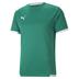 Puma Team Liga Short Sleeve Shirt