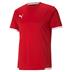 Puma Team Liga Short Sleeve Shirt