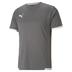 Puma Team Liga Short Sleeve Shirt