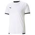 Puma Team Liga Short Sleeve Shirt