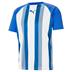 Puma Team Liga Striped Short Sleeve Shirt