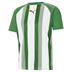 Puma Team Liga Striped Short Sleeve Shirt