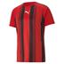 Puma Team Liga Striped Short Sleeve Shirt