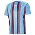 Puma Team Liga Striped Short Sleeve Shirt