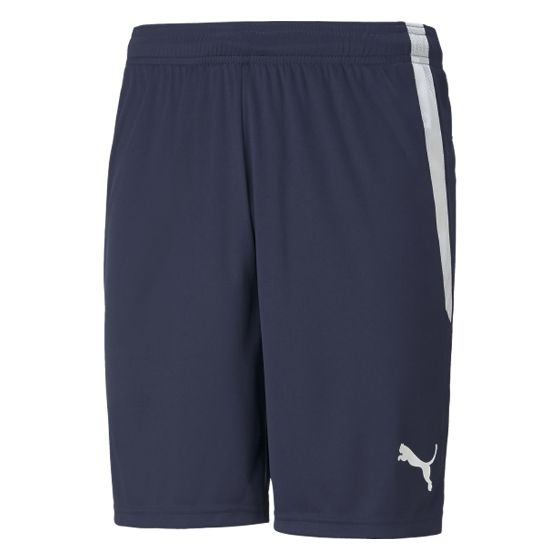 Puma Team Liga Striped Short (Peacoat)