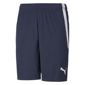 Puma Team Liga Striped Short (Peacoat) - Peacoat/White