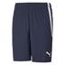 Puma Team Liga Striped Short (Peacoat)