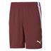 Puma Team Liga Striped Short