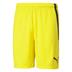 Puma Team Liga Striped Short