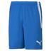 Puma Team Liga Striped Short