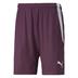 Puma Team Liga Striped Short