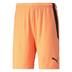 Puma Team Liga Striped Short