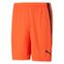 Puma Team Liga Striped Short