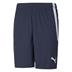 Puma Team Liga Striped Short