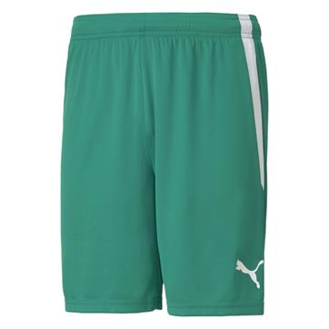 Puma Team Liga Striped Short - Pepper Green/White