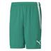 Puma Team Liga Striped Short