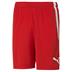 Puma Team Liga Striped Short