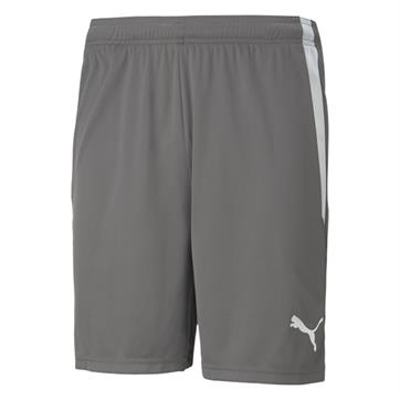 Puma Team Liga Striped Short - Smoked Pearl/White