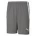 Puma Team Liga Striped Short