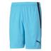 Puma Team Liga Striped Goalkeeper Shorts