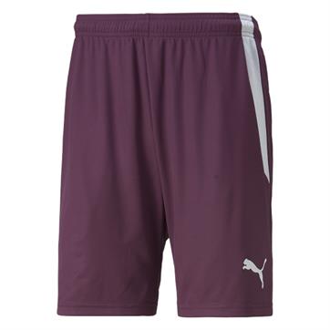 Puma Team Liga Striped Goalkeeper Shorts - Grape%20Wine/White