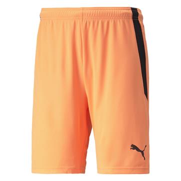Puma Team Liga Striped Goalkeeper Shorts - Neon Citrus/Black