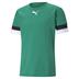 Puma Team Rise Short Sleeve Shirt (Budget Club Shirt)