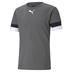 Puma Team Rise Short Sleeve Shirt (Budget Club Shirt)