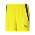 Puma Team Liga Womens Shorts