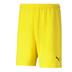 Puma Team Rise Short (Budget Team Short)