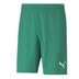 Puma Team Rise Short (Budget Team Short)