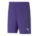 Puma Team Rise Short (Budget Team Short)