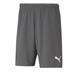 Puma Team Rise Short (Budget Team Short)