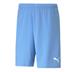 Puma Team Rise Short (Budget Team Short)