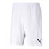 Puma Team Rise Short (Budget Team Short)