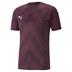 Puma Team Glory Short Sleeve Shirt