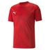 Puma Team Glory Short Sleeve Shirt