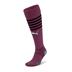 Puma Team Final Socks