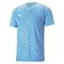 Puma TeamULTIMATE Short Sleeve Shirt