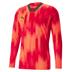 Puma TeamTARGET Long Sleeve GK Shirt