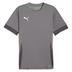 Puma team GOAL Short Sleeve Match Shirt