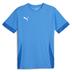 Puma team GOAL Short Sleeve Match Shirt