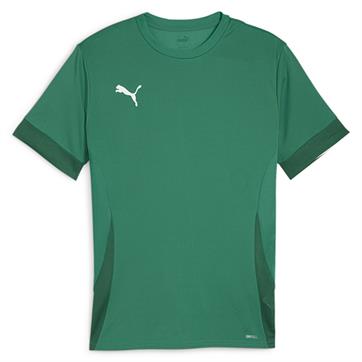 Puma team GOAL Short Sleeve Match Shirt - Green